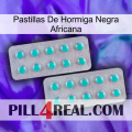 African Black Ant Pills 29